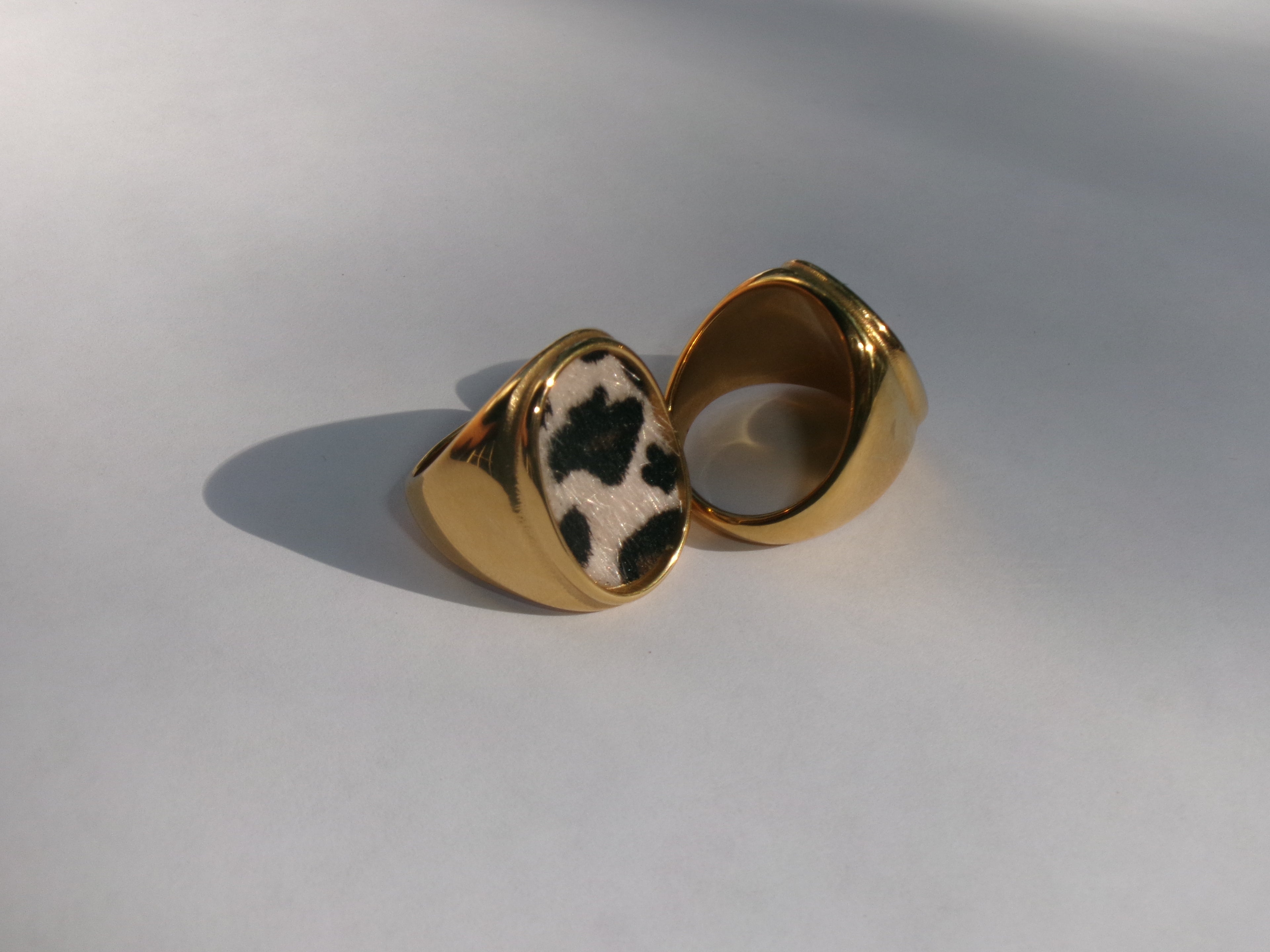 Savannah Signet Ring