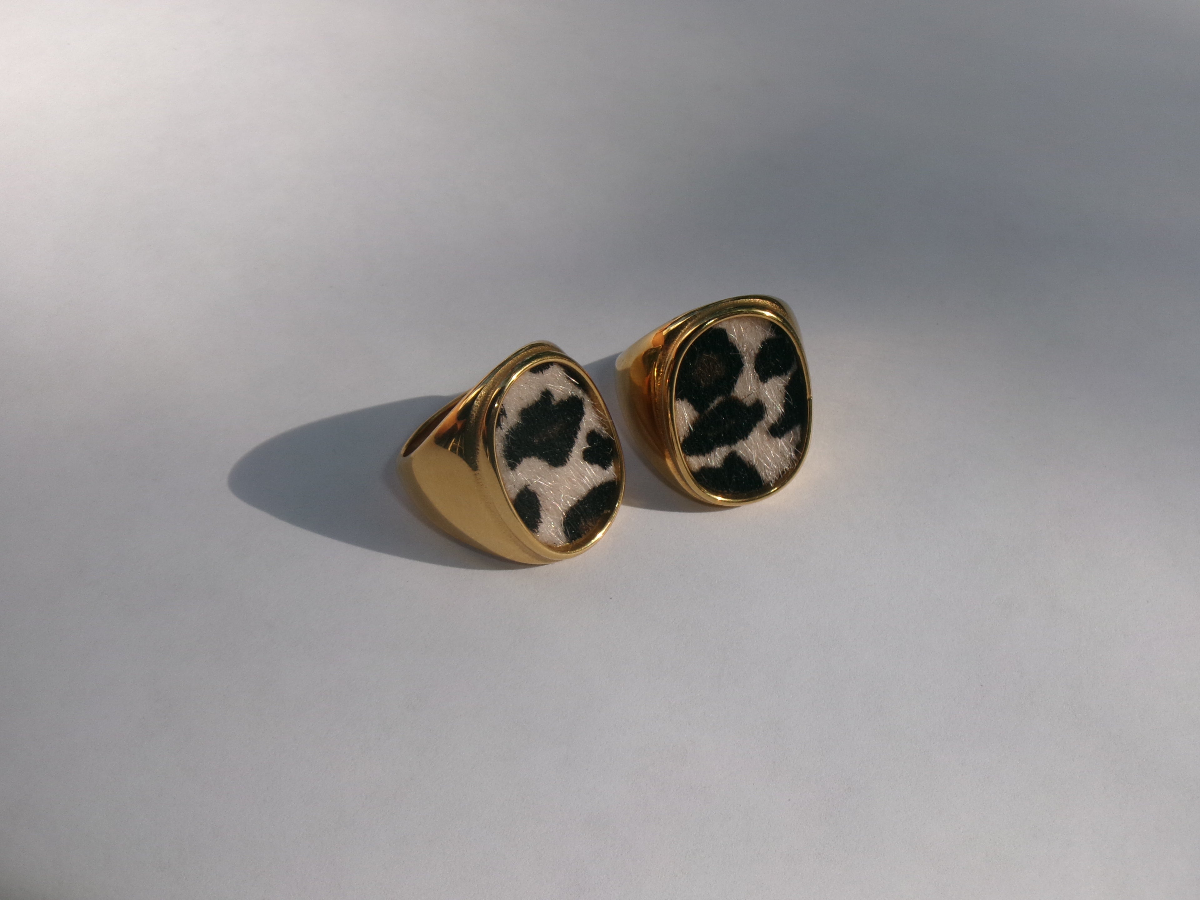 Savannah Signet Ring